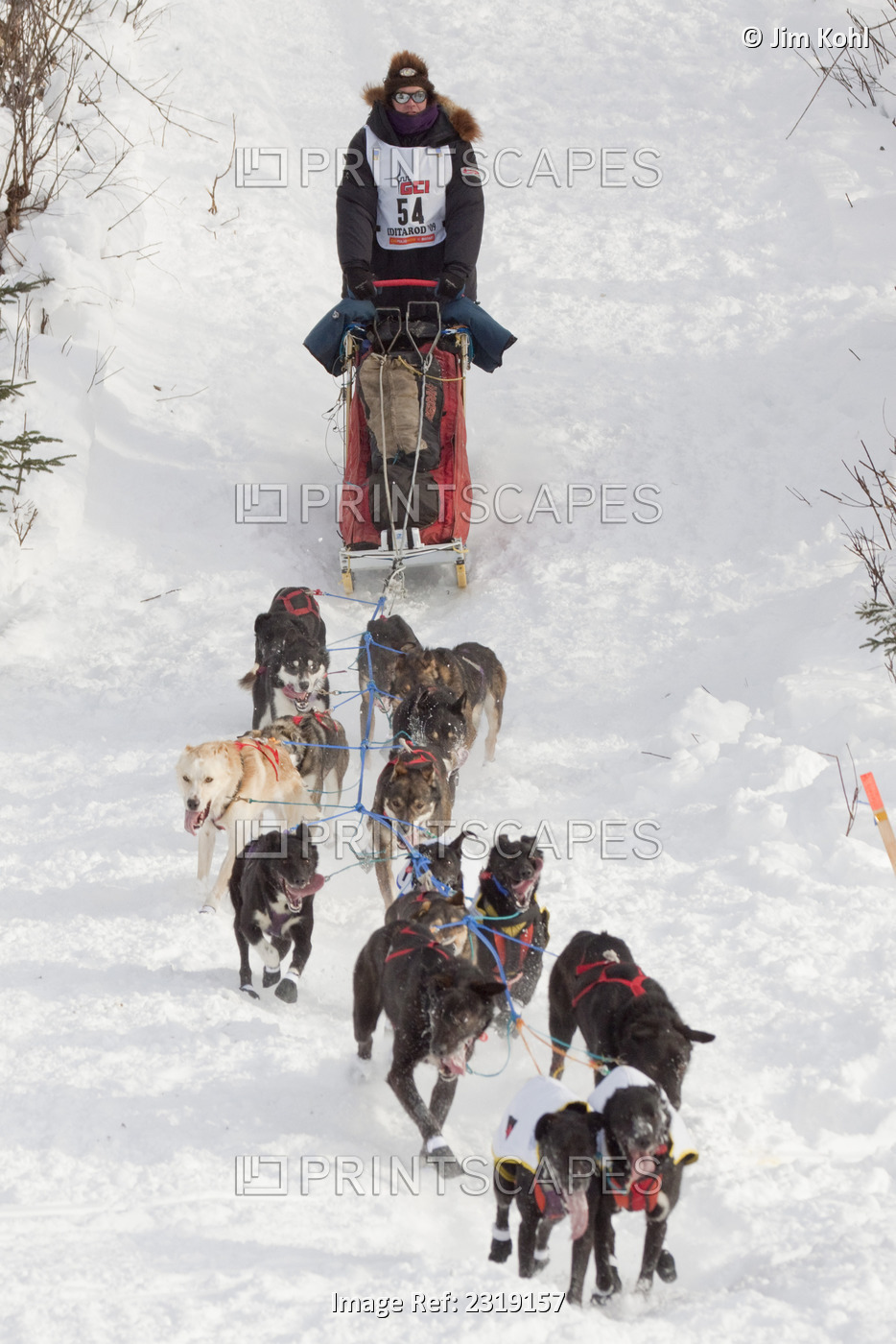 Ken Anderson At The Restart Of The 2009 Iditarod In Willow Alaska