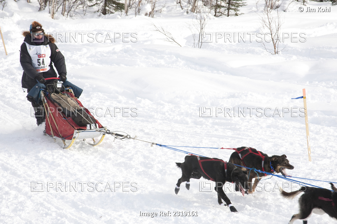 Ken Anderson At The Restart Of The 2009 Iditarod In Willow Alaska
