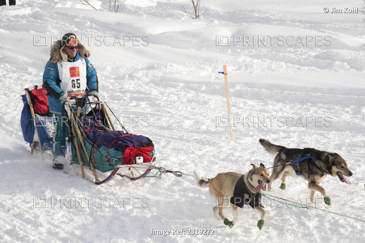 Bill Cotter At The Restart Of The 2009 Iditarod In Willow Alaska