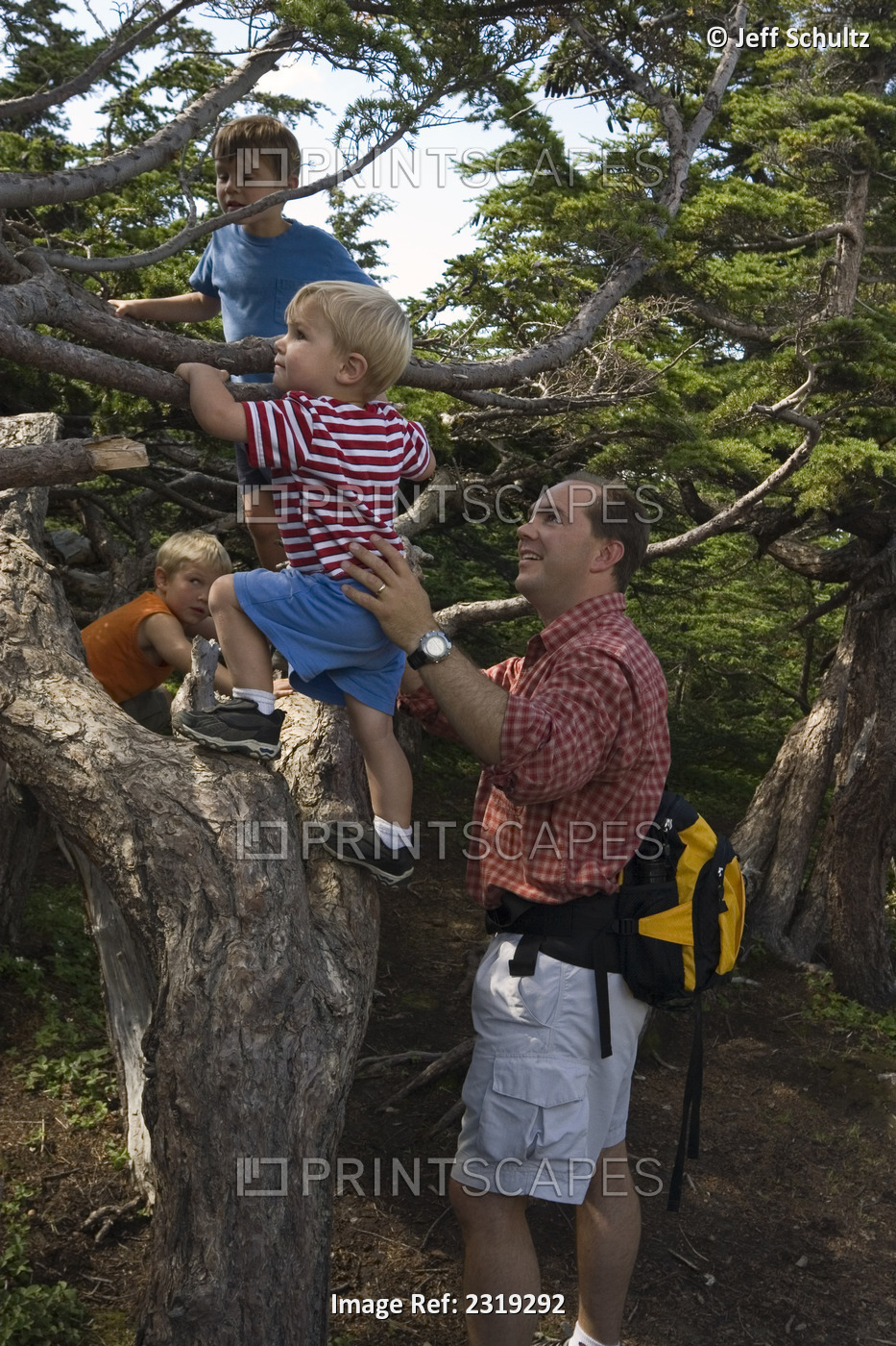 Father & Boys Playing In Trees On Hike In Glen Alps Area, Chugach State Park, ...