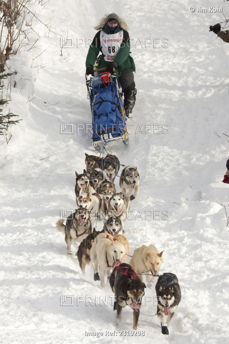 Jeff Holt At The Restart Of The 2009 Iditarod In Willow Alaska