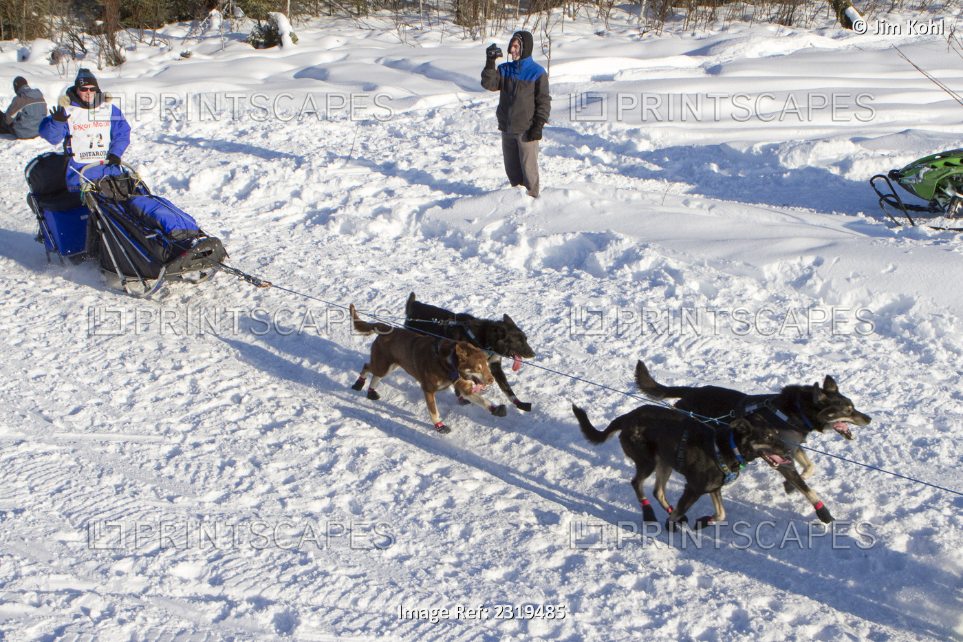 Judy Currier Mushing On To Long Lake At The 2010 Iditarod Re-Start, Willow, ...