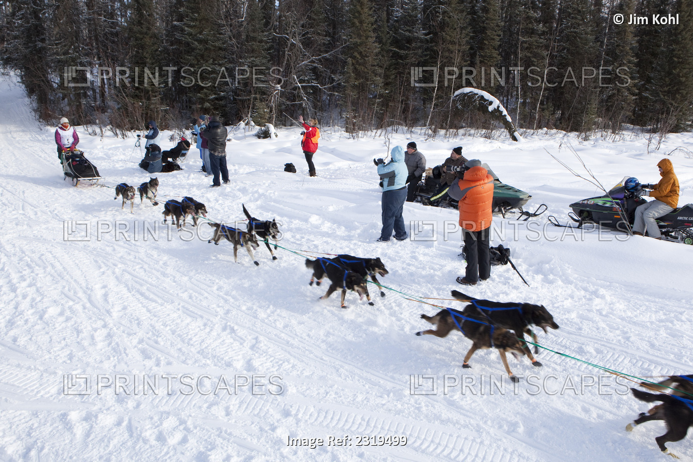 Zoya Denure Mushing On To Long Lake At The 2010 Iditarod Re-Start, Willow, ...