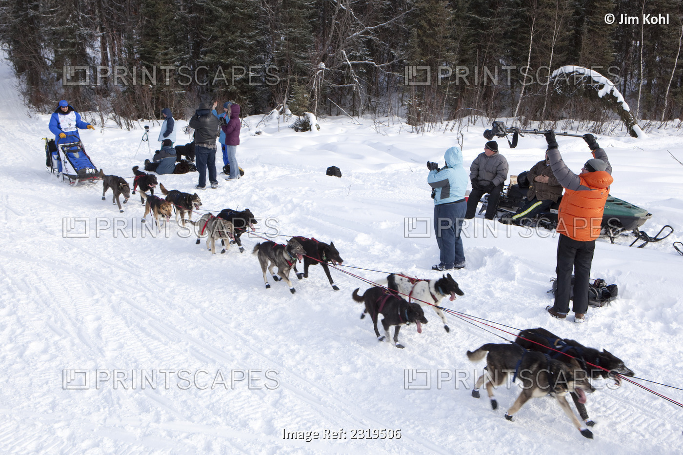 John Baker Mushing On To Long Lake At The 2010 Iditarod Re-Start, Willow, ...