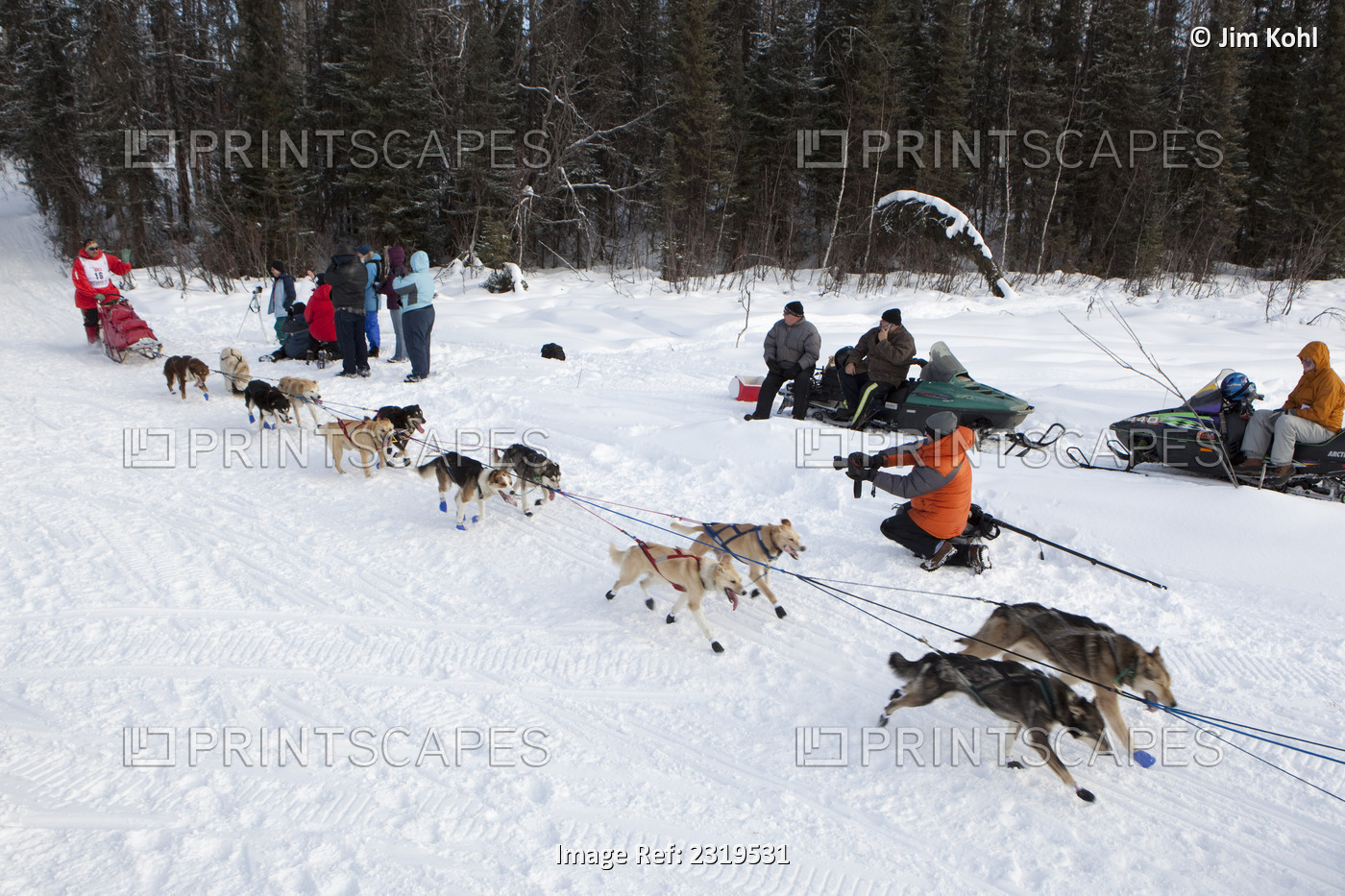 Middie Johnson Mushing On To Long Lake At The 2010 Iditarod Re-Start, Willow, ...