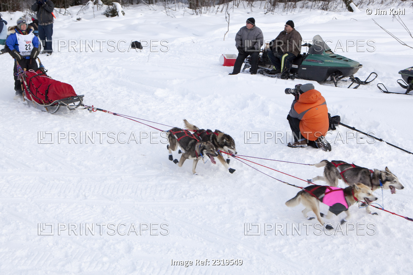 Jane Faulkner Mushing On To Long Lake At The 2010 Iditarod Re-Start, Willow, ...