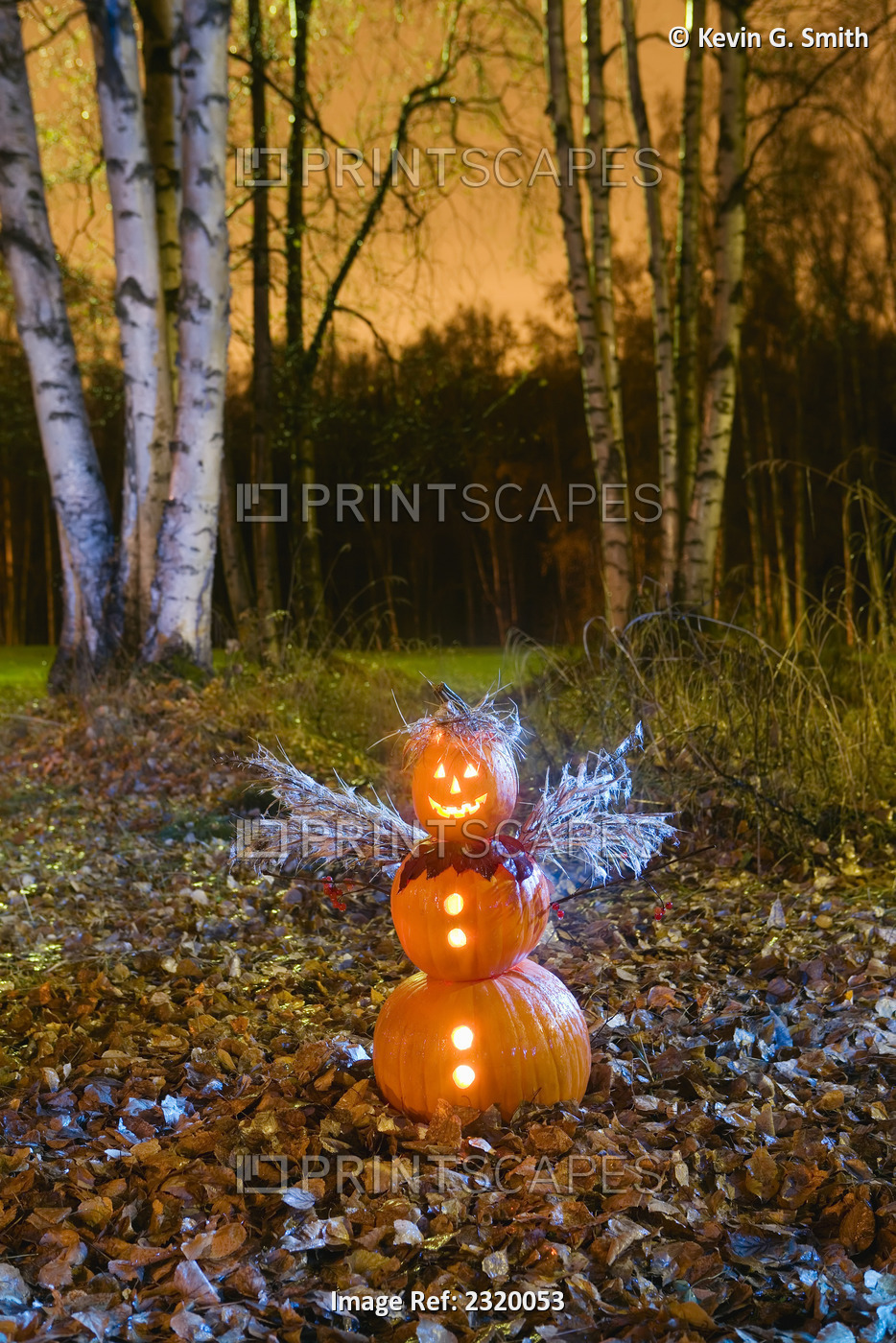 One Jack-O-Lantern Person Dressed As An Angel, Standing In A Forest & Fallen ...