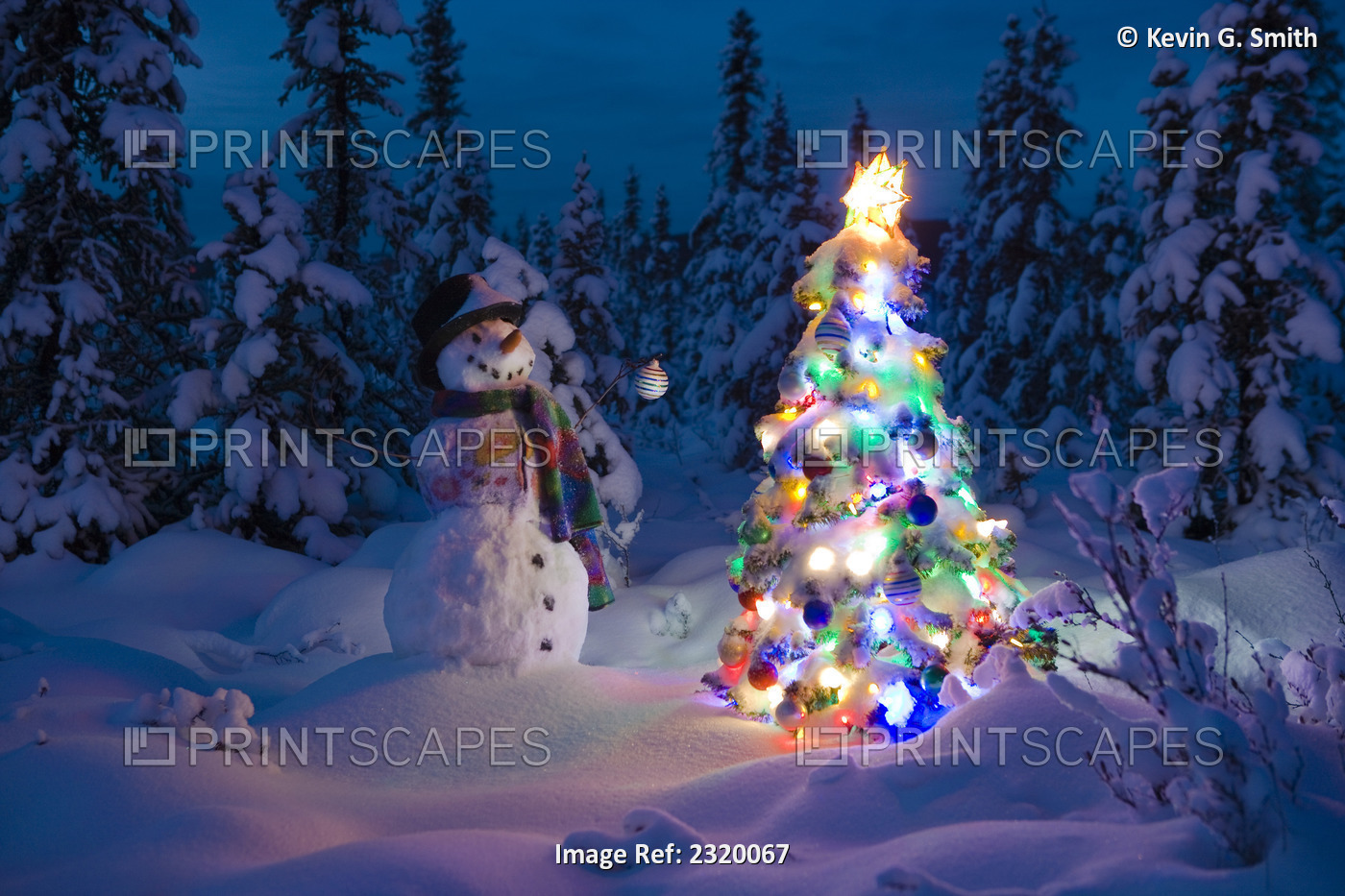 Snowman Stands In A Snowcovered Spruce Forest Next To A Decorated Christmas ...