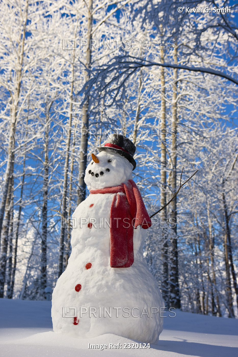 Snowman With Red Scarf And Black Top Hat Standing In Front Of Snow Covered ...