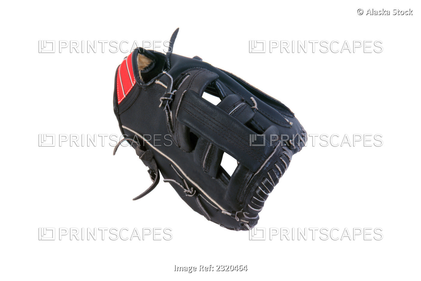 Baseball Glove Studio Portrait