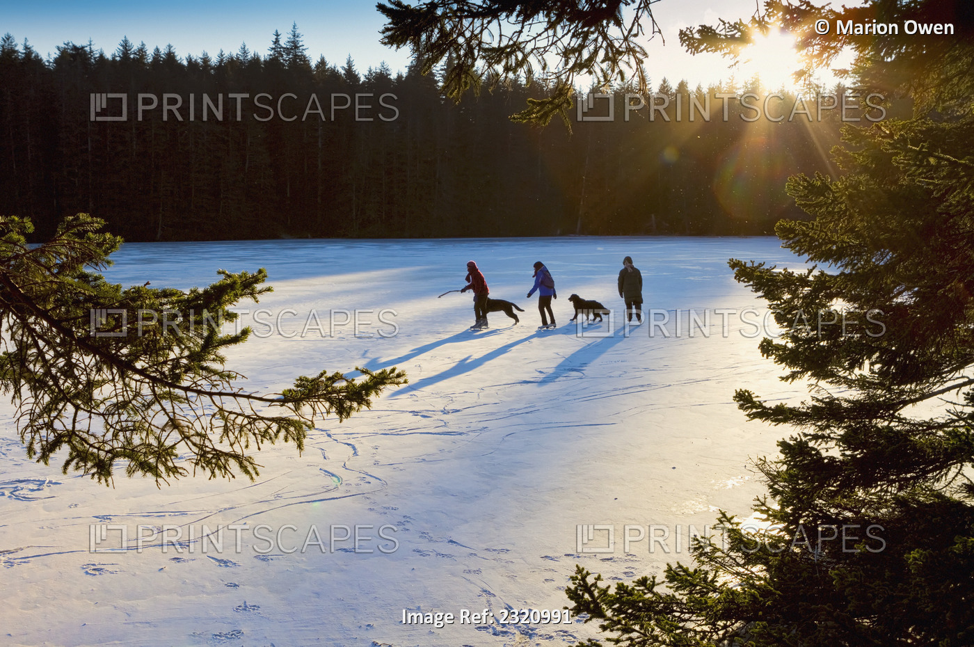 Friends and a dog skate together on a frozen lake in Fort Abercrombie State ...