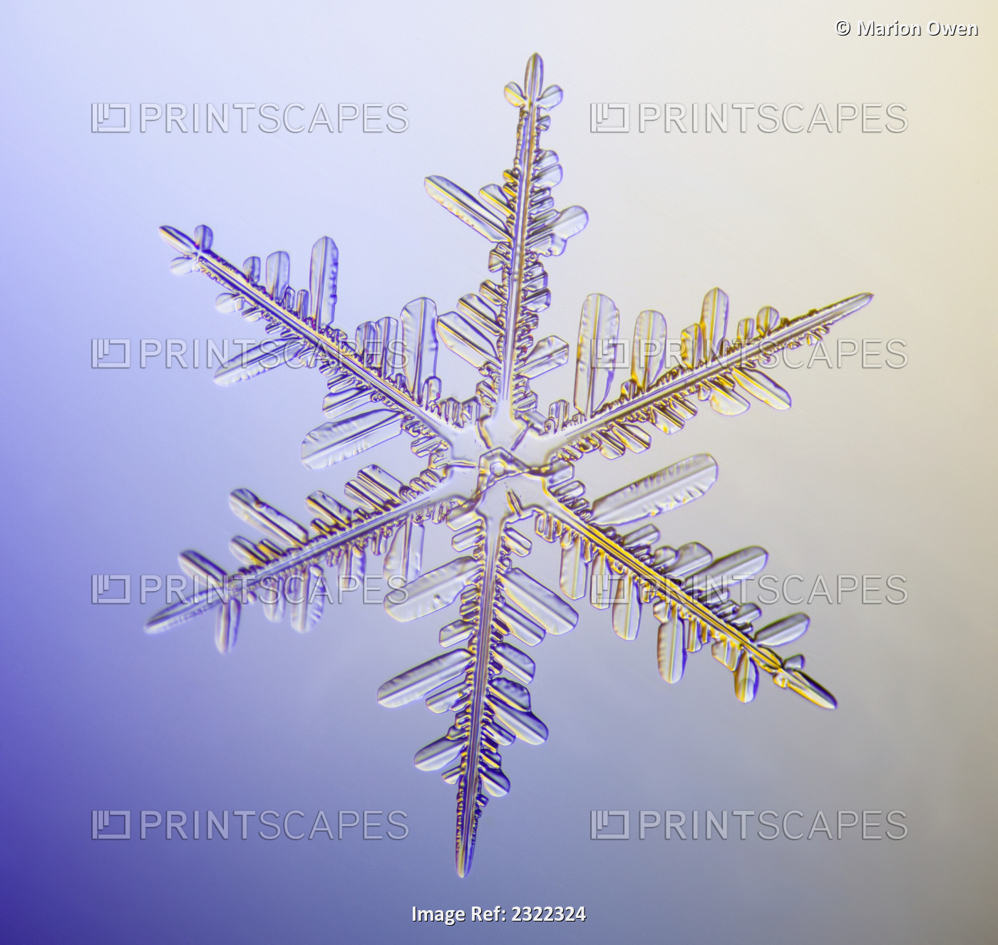 Photo-microscope view of a real snowflake showing the classic 6-sided star ...