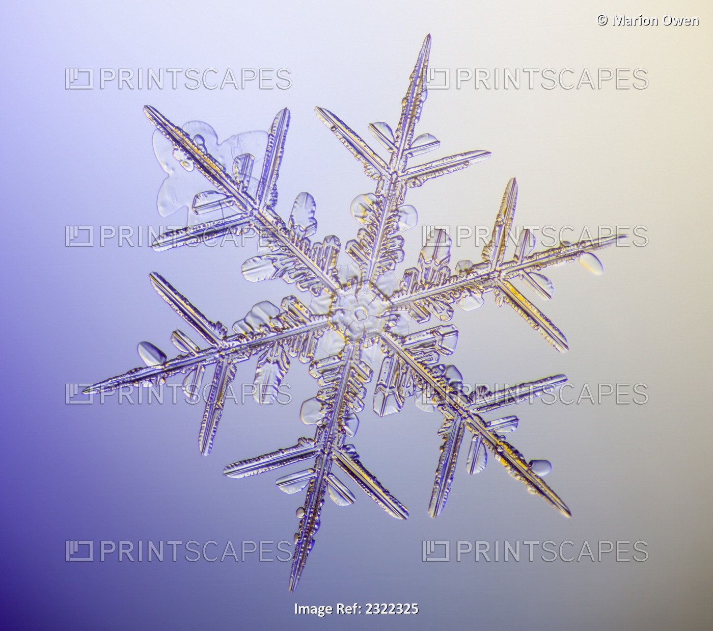 Photo-microscope view of a real snowflake showing the classic 6-sided star ...