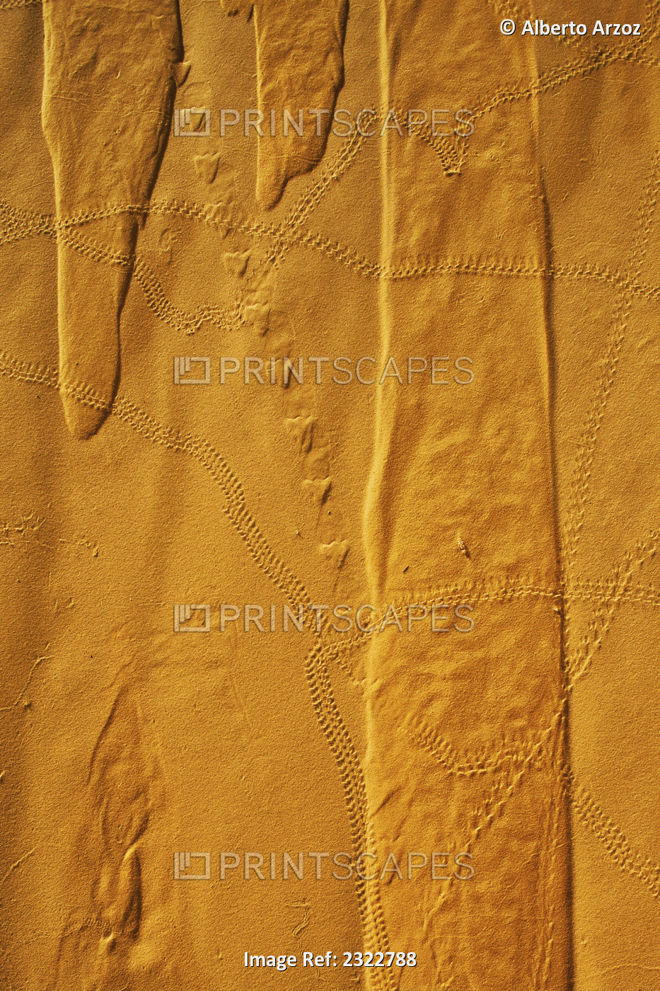 Niger, Sahara Desert; Northern Niger, Patterns and animal tracks on sand
