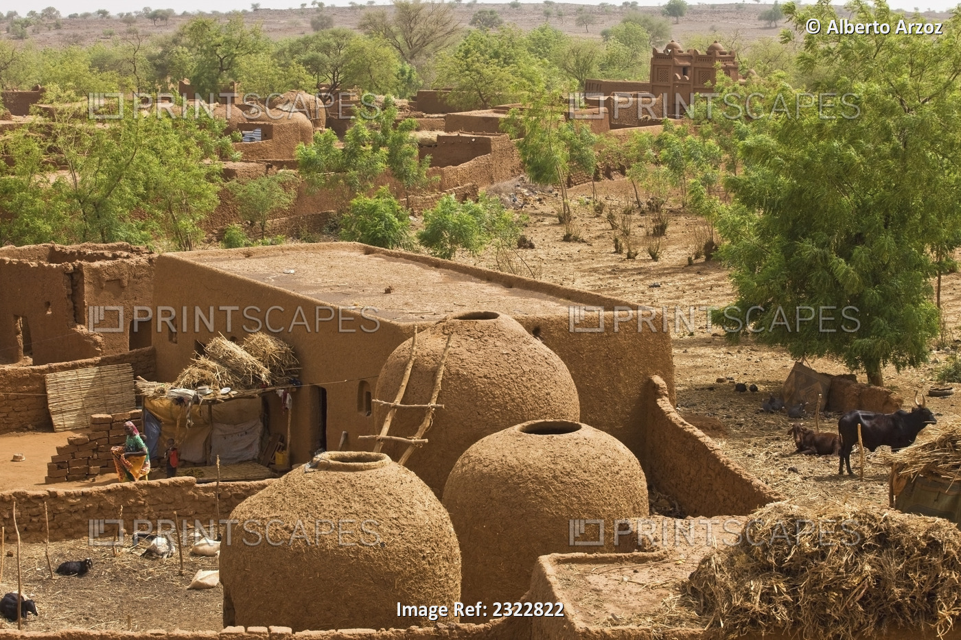 Niger, Central Niger, Tahoa, from rooftop of its World famous Friday Mosque; ...
