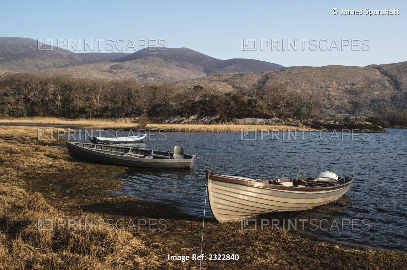 Pleasure boats in Upper Lake of Lough Leane, Killarney National Park; County ...