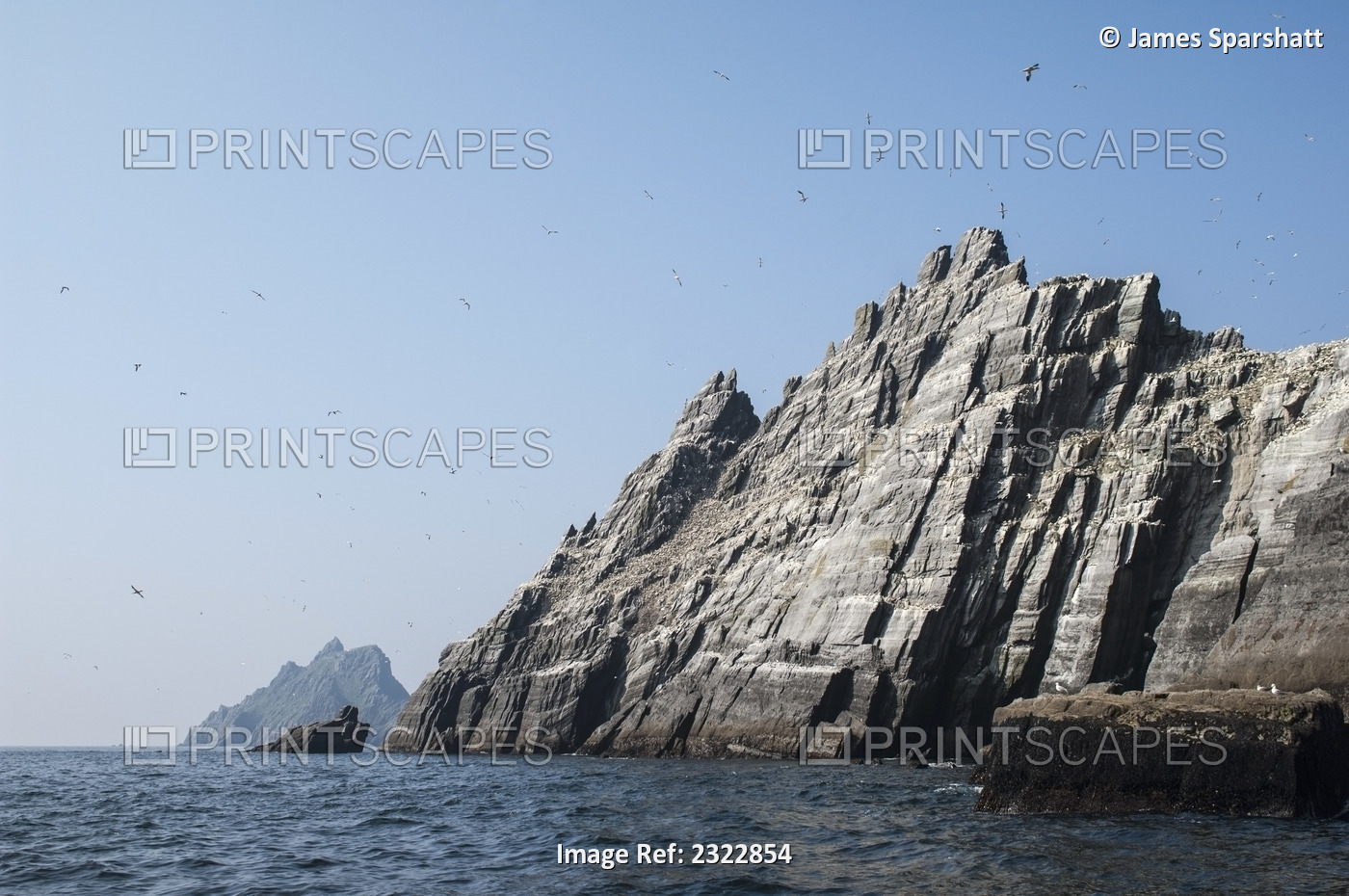 Northern Gannets (Morus bassanus) in flight over rocky coast; Little Skellig, ...