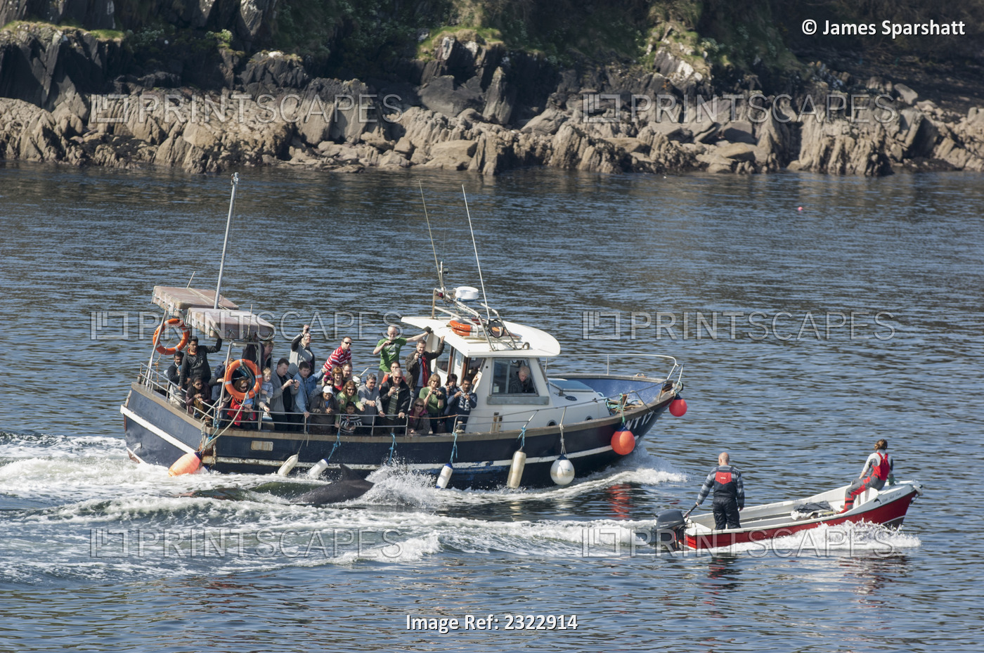 UK, Ireland, County Kerry, Dingle, Dingle Bay, Tourists assembled on motor boats