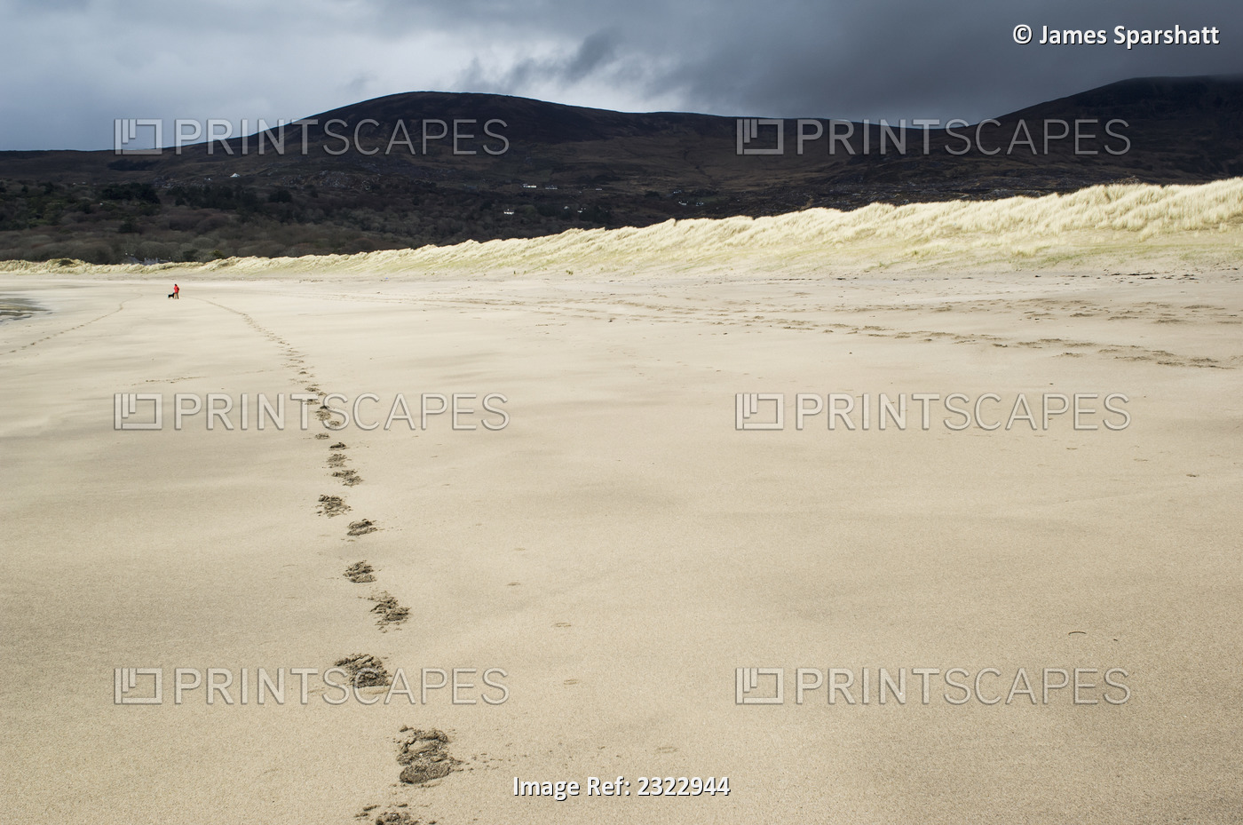 Footprints on Derrynane Beach; County Kerry, Ireland, UK