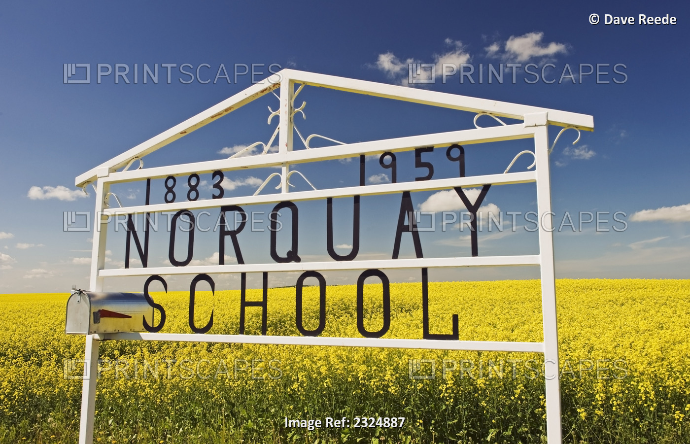 School Sign In Front Of Bloom Stage Canola Field Near Somerset; Manitoba, Canada