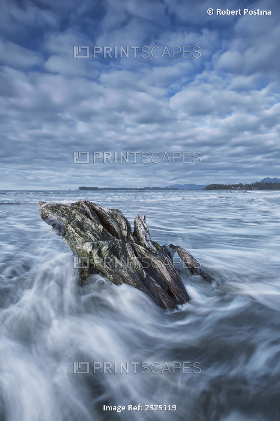 The tide coming in and flowing around a sunken piece of driftwood, chesterman ...