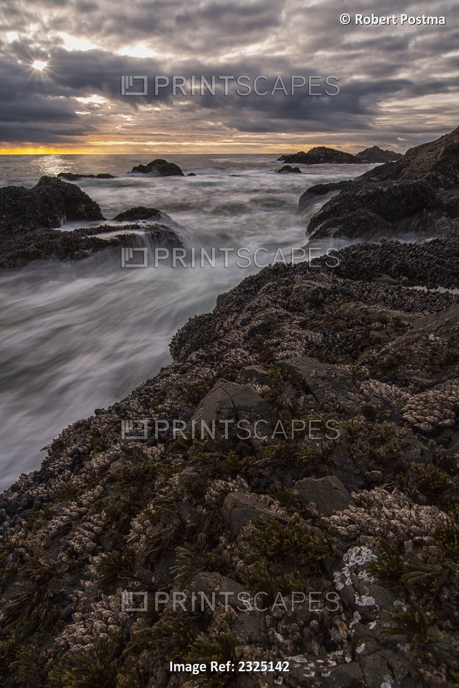 Sunset Over Ocean At Sunset And High Tide; Ucluelet Vancouver Island British ...