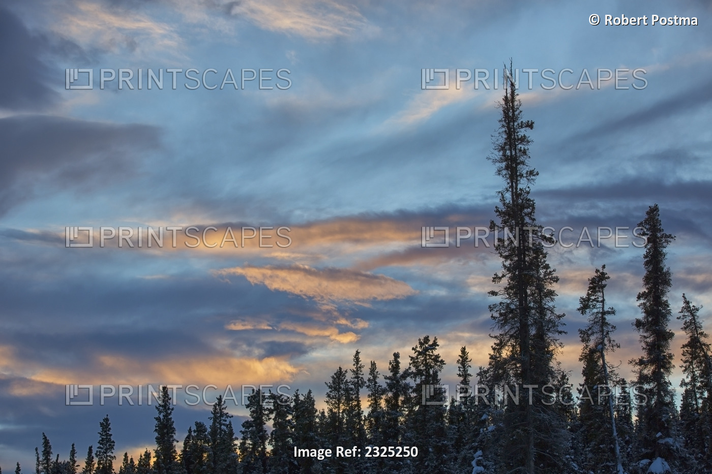 Red clouds at sunset over mcintyre creek; Whitehorse, yukon, canada