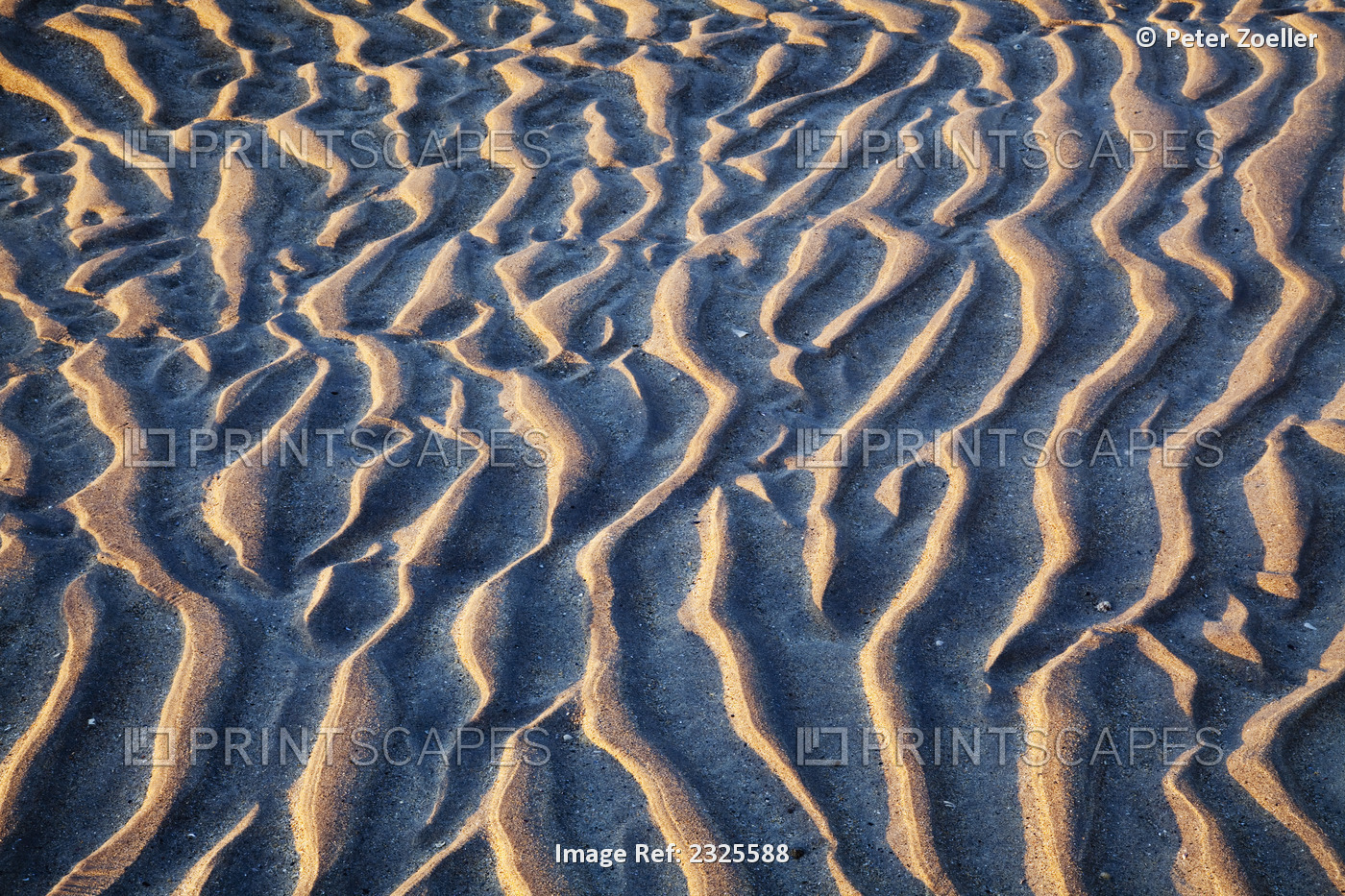 Ripples in the sand at derrynane beach;County kerry, ireland