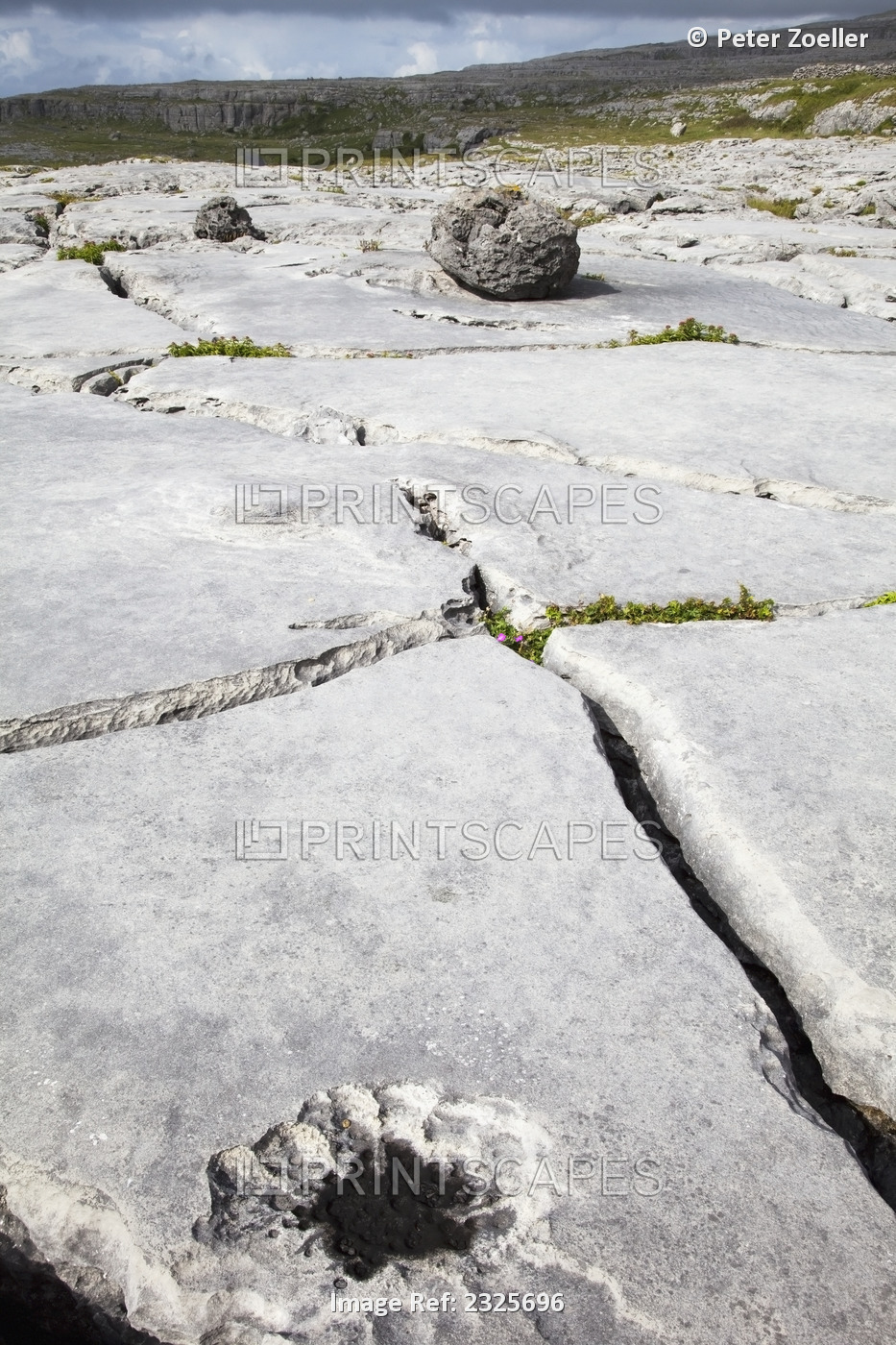 Cracks between the slabs of rocks on the burren at the coastroad near fanore; ...