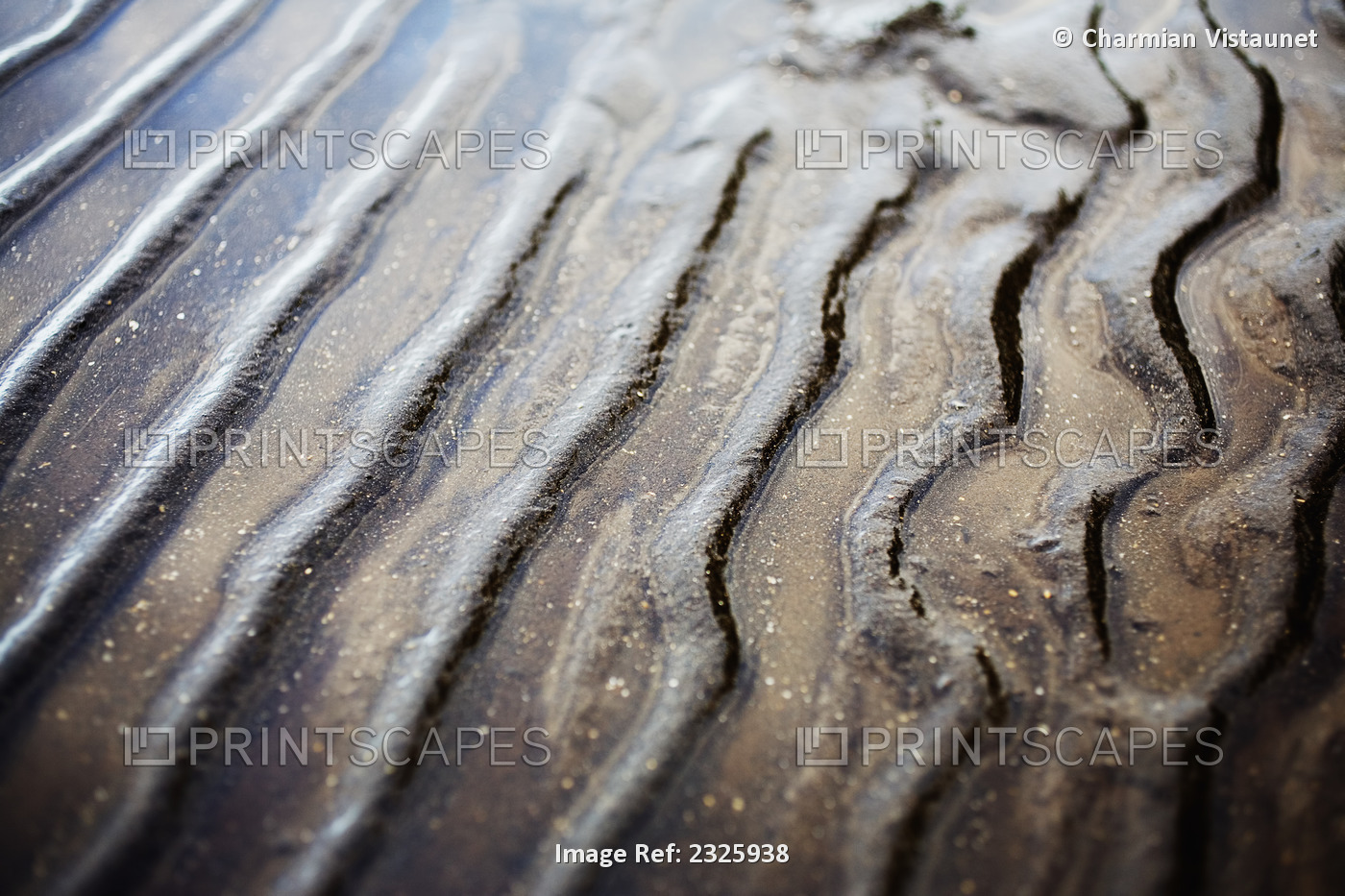 Hawaii, Oahu, Kaneohe Bay, Patterns Of Sand And Water During Low Tide.
