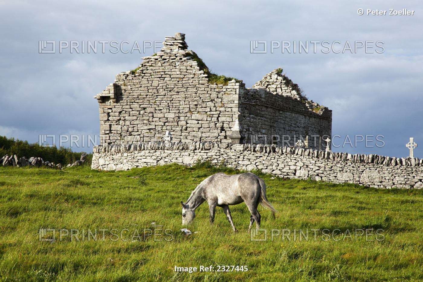 A horse grazing in a field with building ruins and a cemetery;Burren county ...
