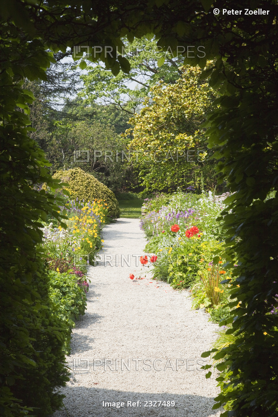 Mount usher gardens; Ashford county wicklow ireland