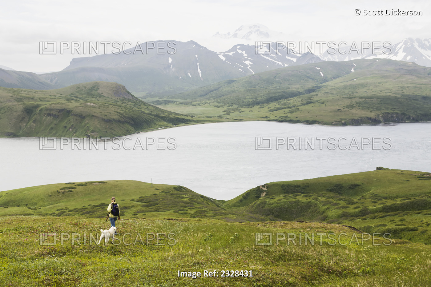 A Woman Hiking With Her Dog And Enjoying The View Of Isanotski Strait In False ...