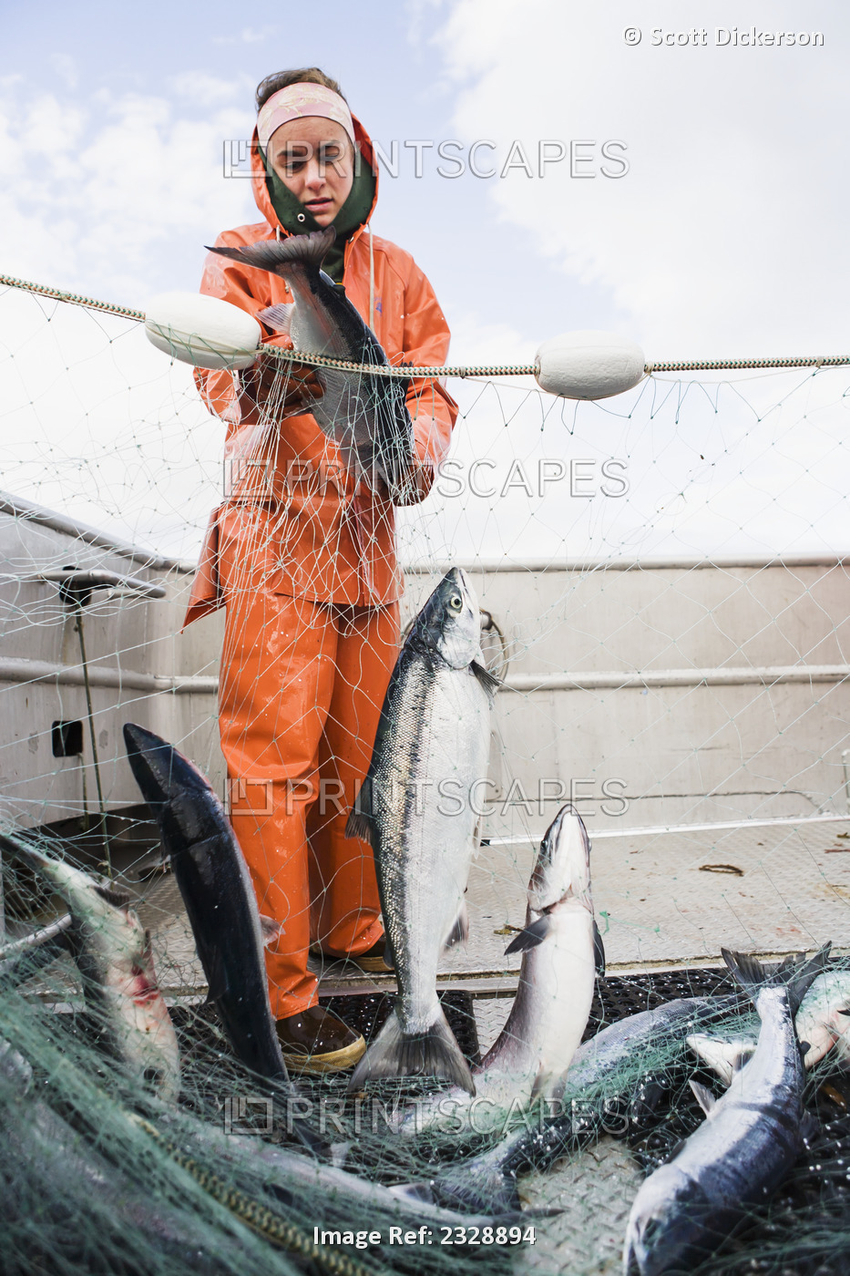 Salmon Fishing In The Alaska Department Of Fish And Game 'alaska Peninsula ...