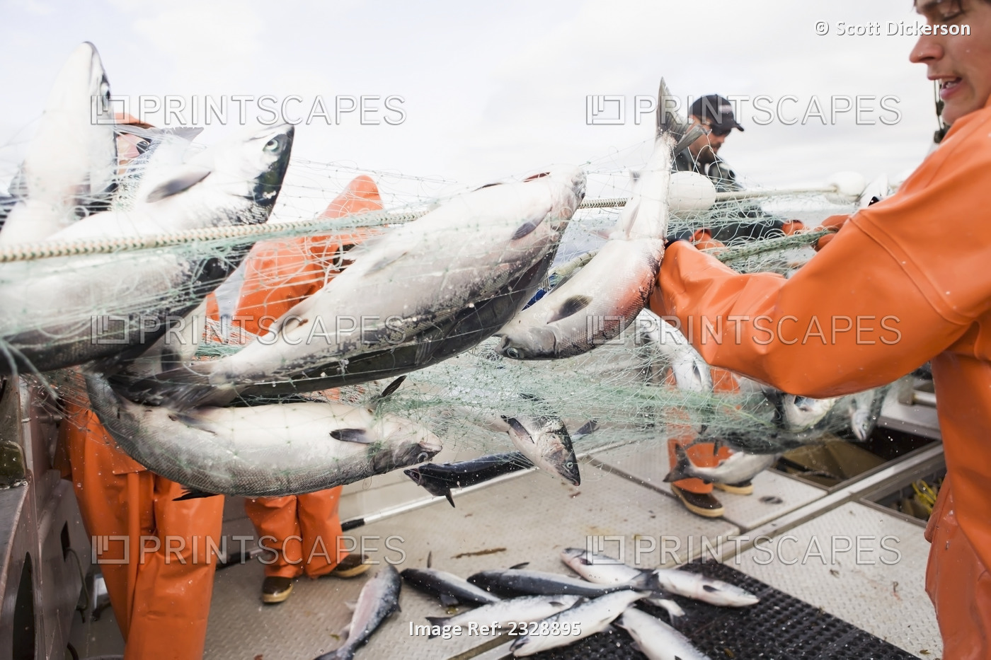 Salmon Fishing In The Alaska Department Of Fish And Game 'alaska Peninsula ...