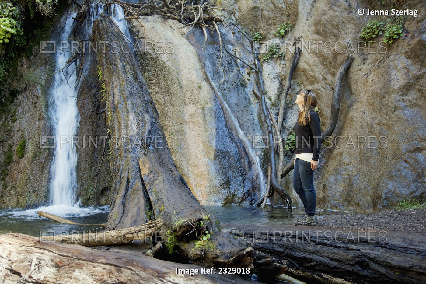 Female Viewing Limekiln Falls; Big Sur, Californai, United States Of America