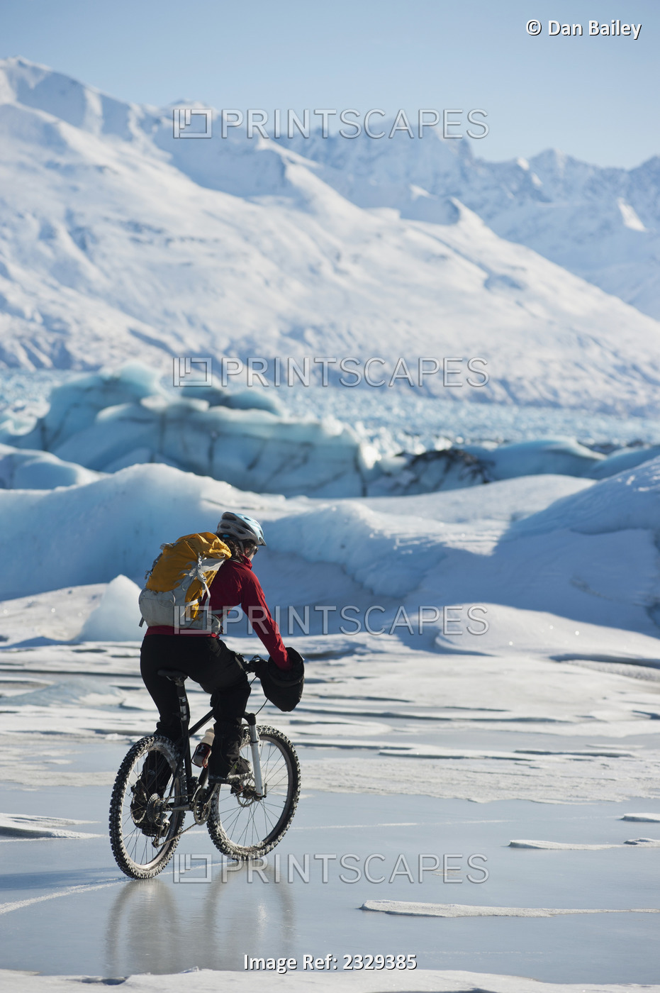 Woman Mountain Biking On The Ice Of The Knik Glacier, Chugach Mountains, ...
