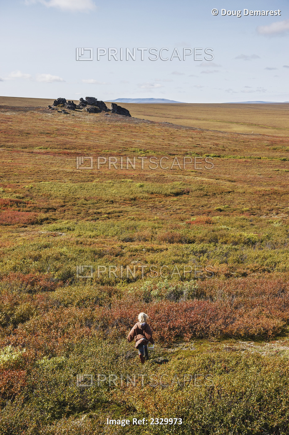 Girl Skips Across The Tundra With Fall Colors Near Serpentine Hot Springs, ...