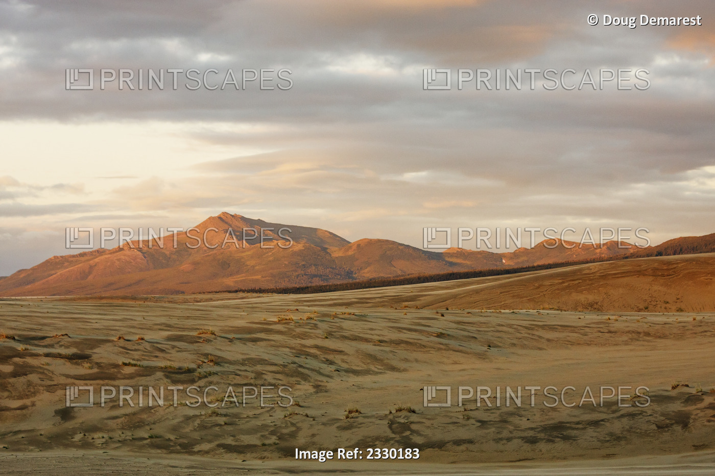 The Great Kobuk Sand Dunes Under An Arctic Midnight Sunset, Kobuk Valley ...