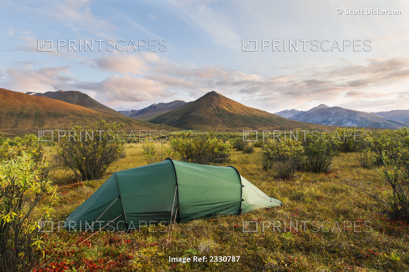 Camping Near Noatak River In The Brooks Range, Gates Of The Arctic National ...