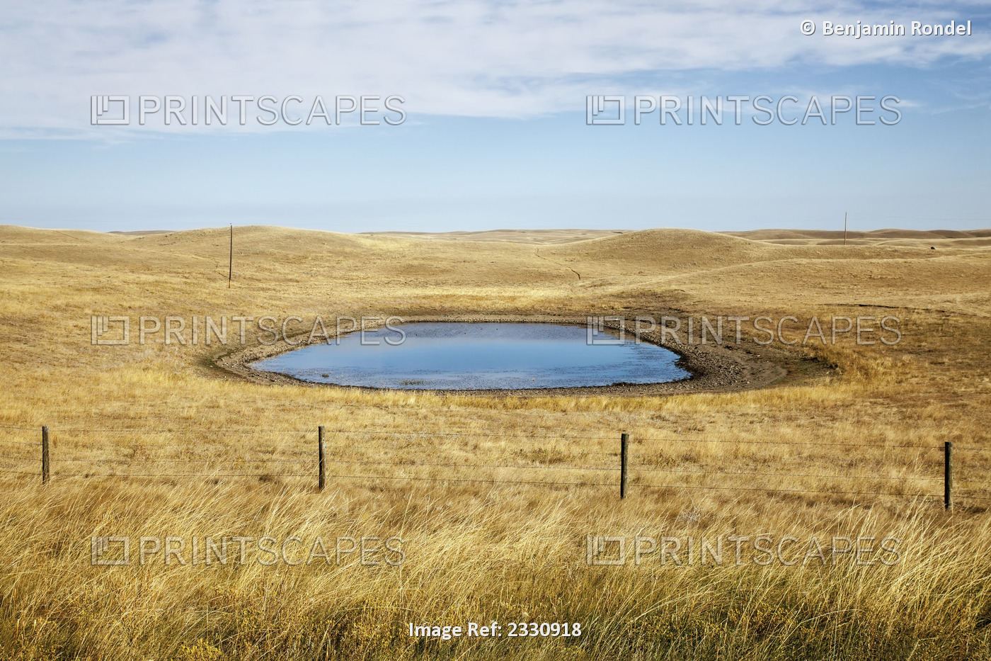 A field with a watering hole; Saskatchewan canada