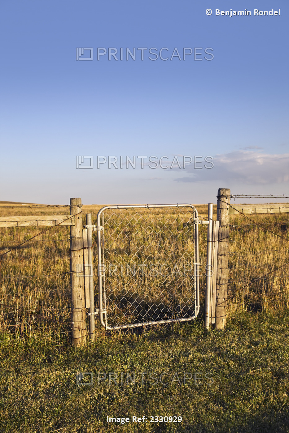 A gate on a fence in a field; Saskatchewan canada