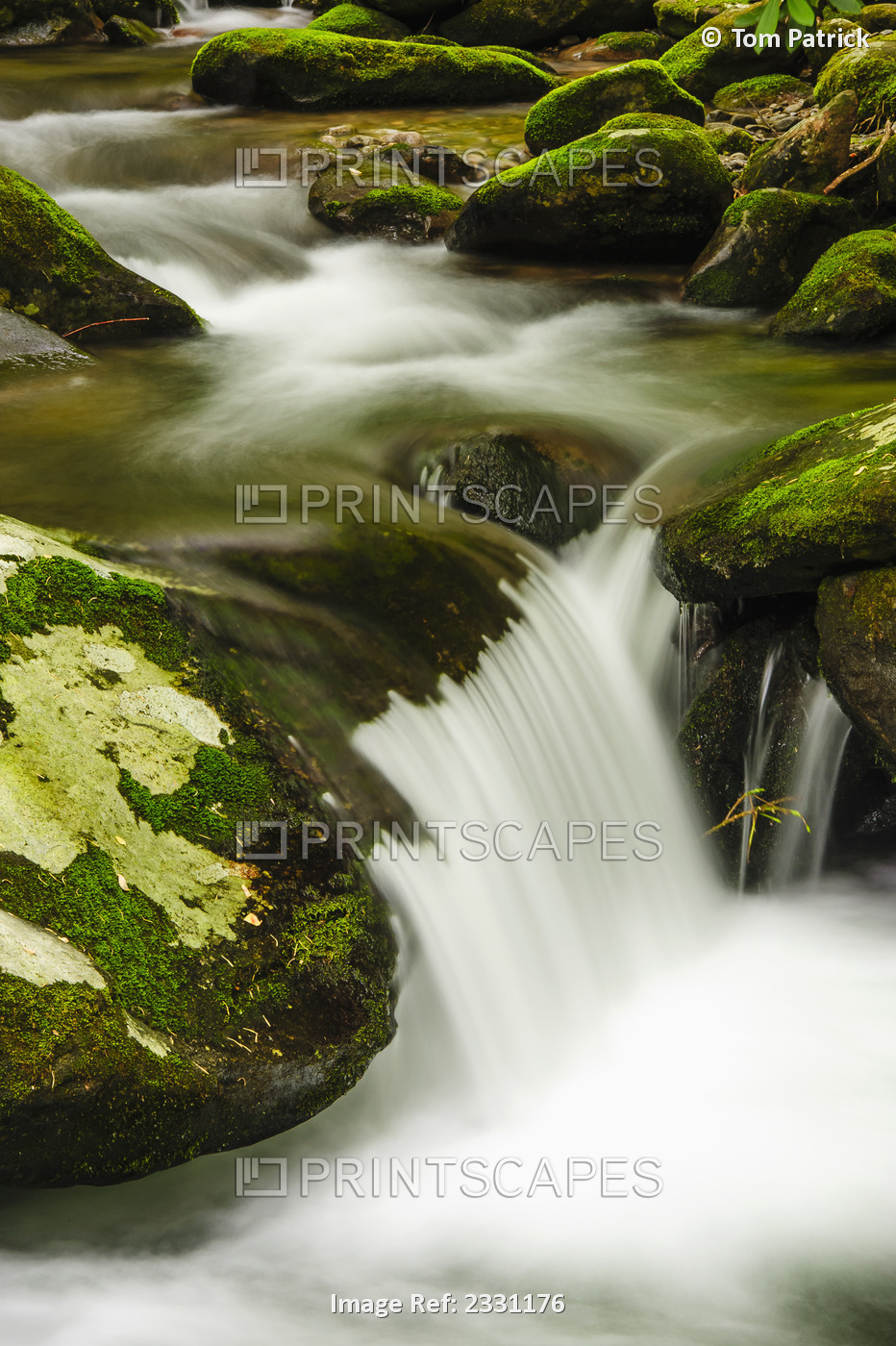 Water cascading over moss covered rocks great smoky mountains national ...