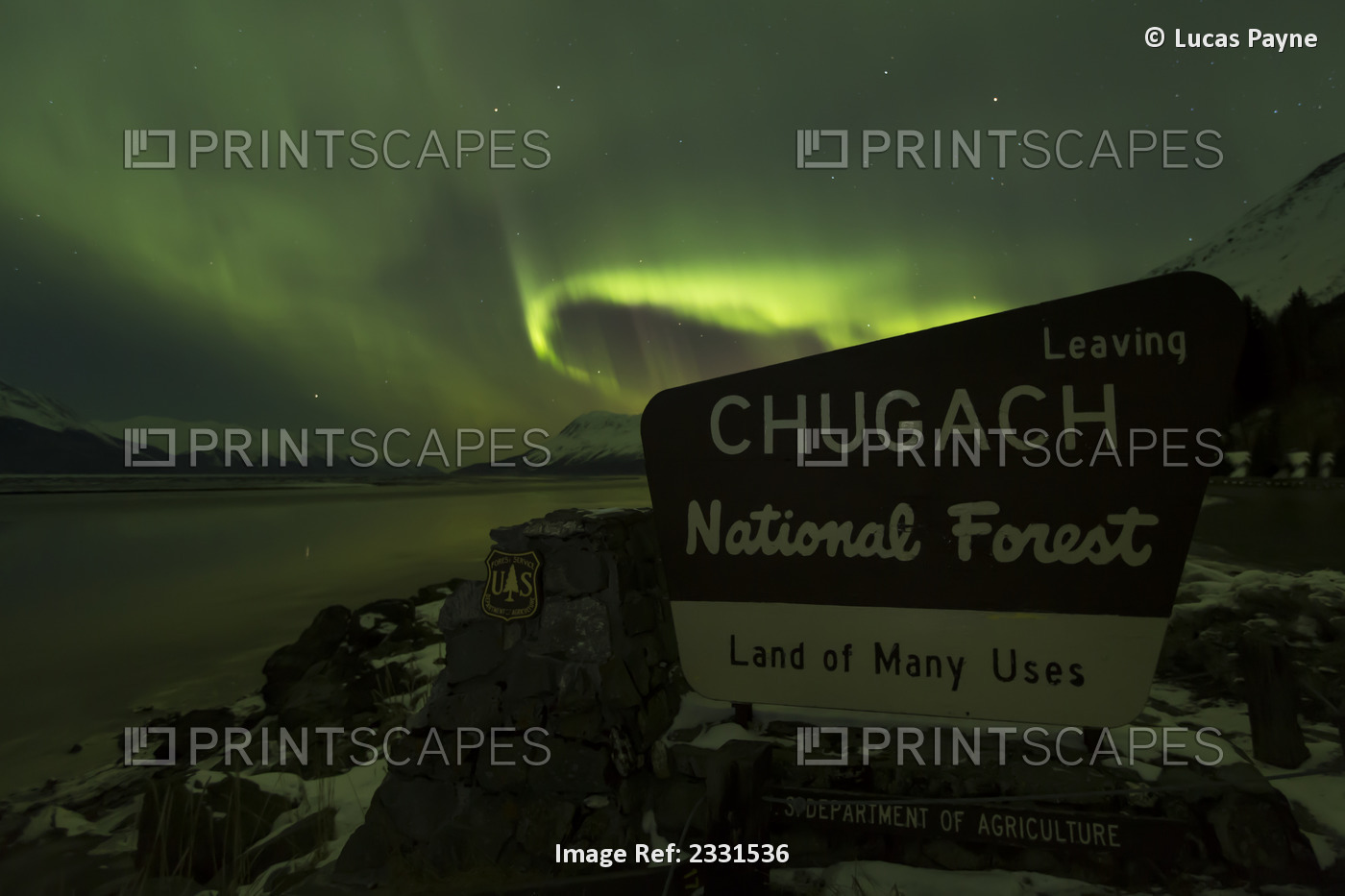 View of the Aurora Borealis (Northern Lights) dancing above the Chugach ...