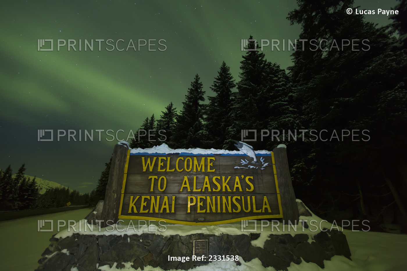 View of the Aurora Borealis (Northern Lights) dancing above the Welcome To ...