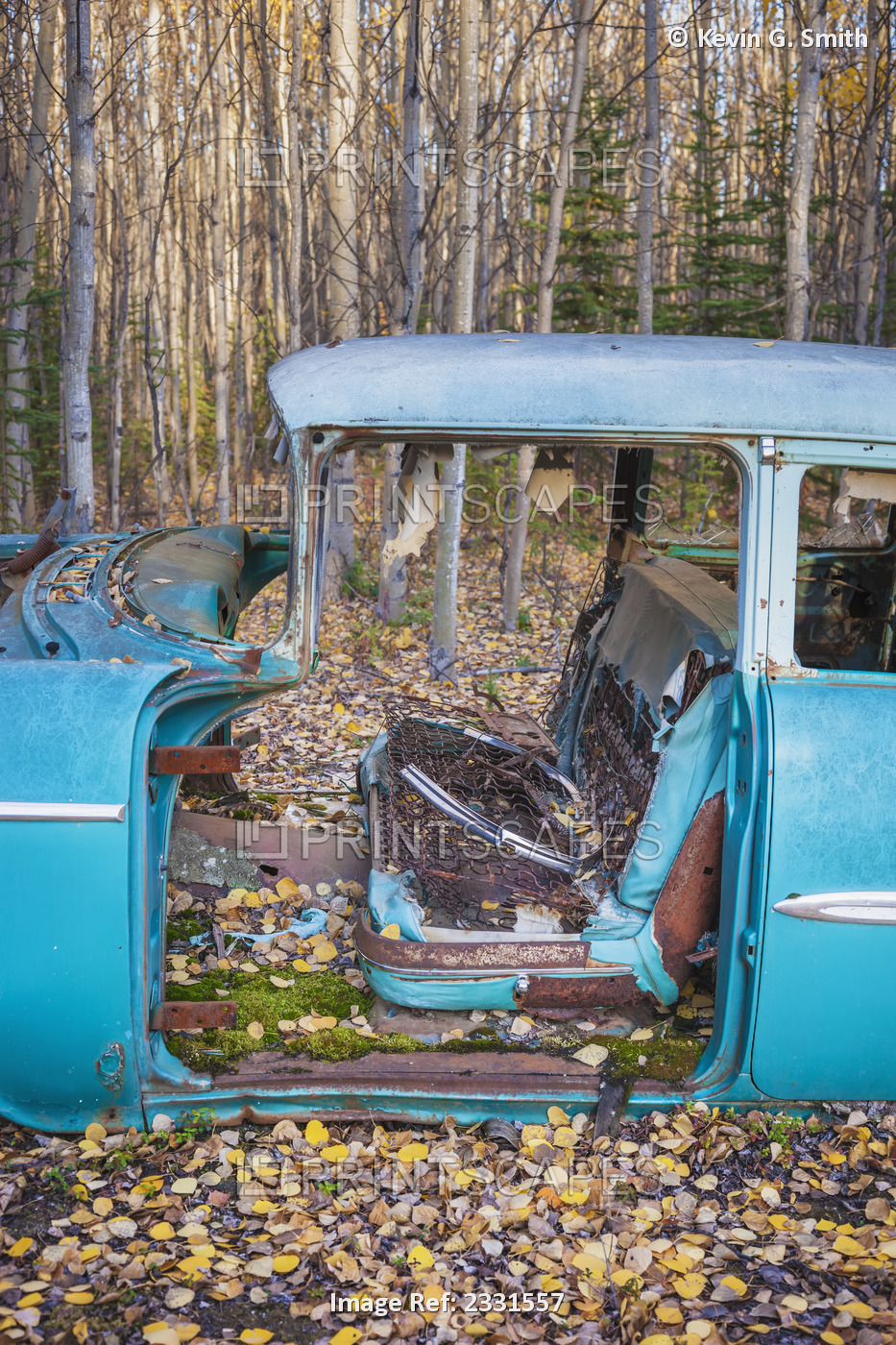 Old derelict car sitting in a forest in autumn; Nenana alaska united states of ...