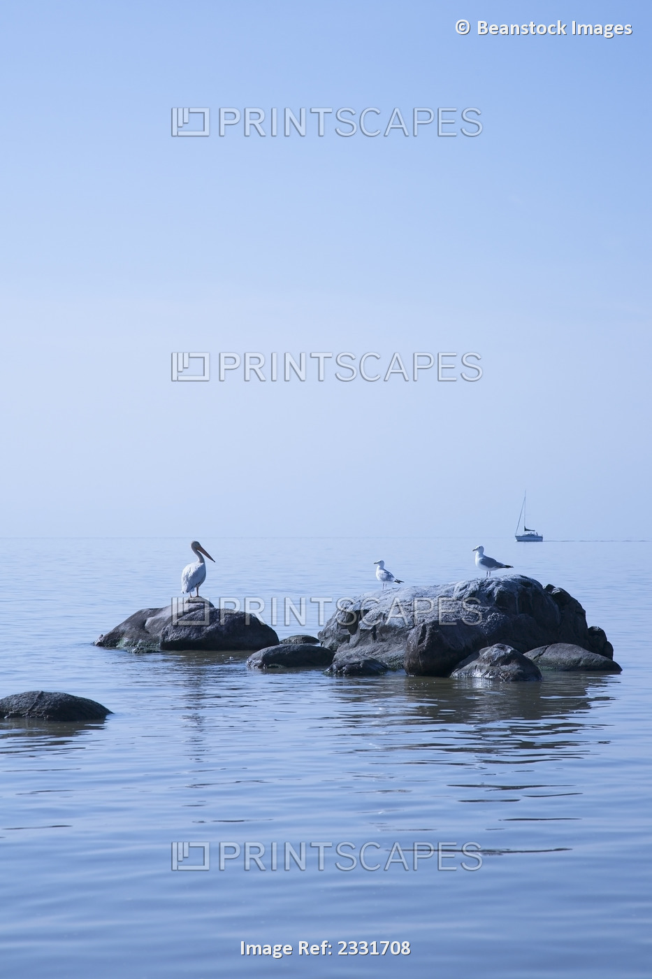 Pelican and gulls on rocks in lake winnipeg with a boat in the distance; ...