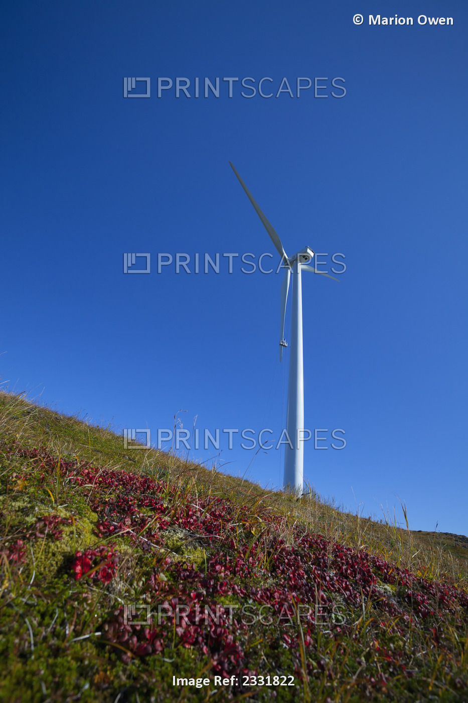 Wind turbine; Kodiak alaska united states of america
