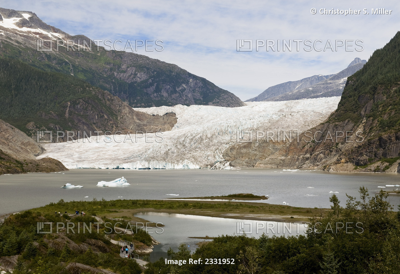 View Of Mendenhall Glacier And Lake And Trail Leading To Overlook, Juneau, ...