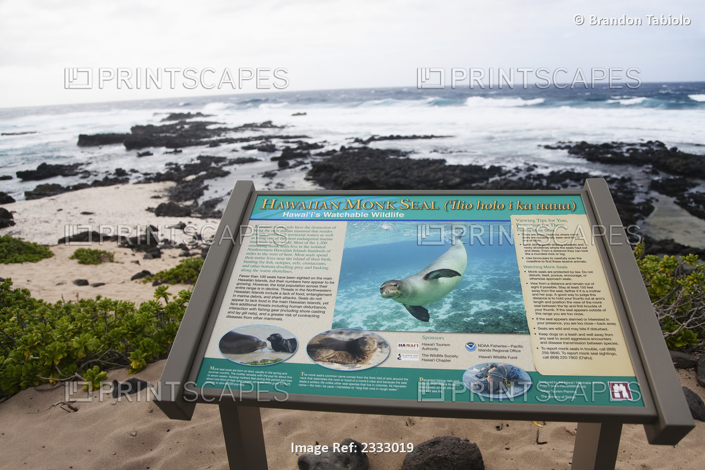 An informational sign to teach about the nearby hawaiian monk seals; Honolulu ...
